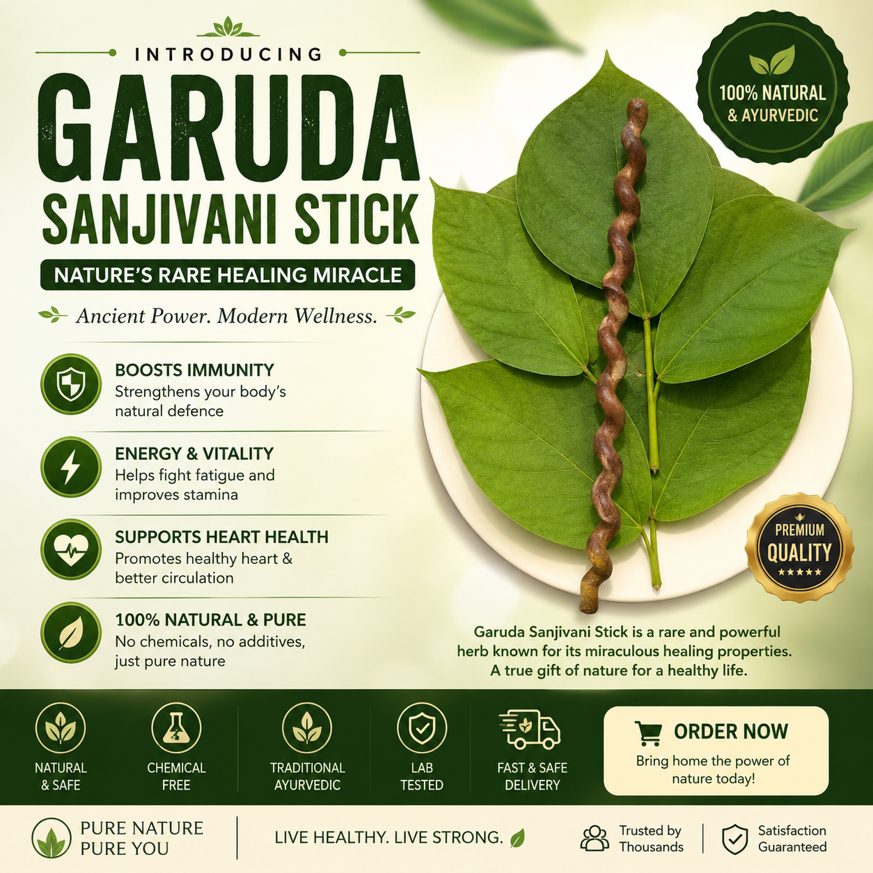 Garuda Sanjivani stick