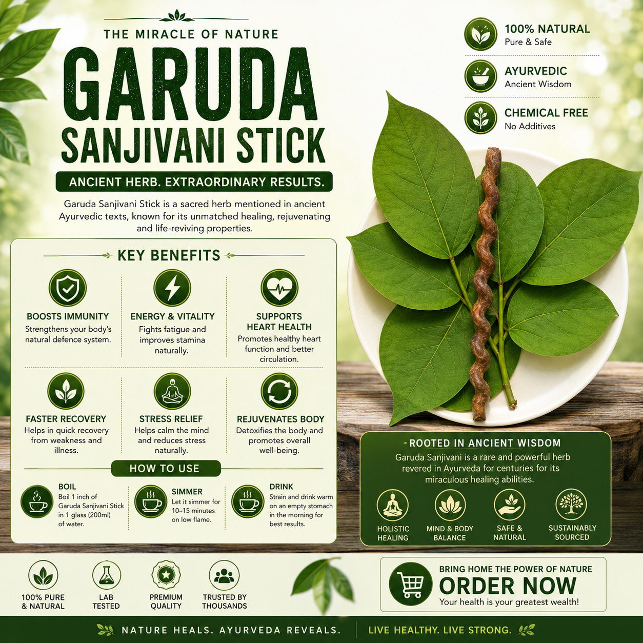 Garuda Sanjivani stick